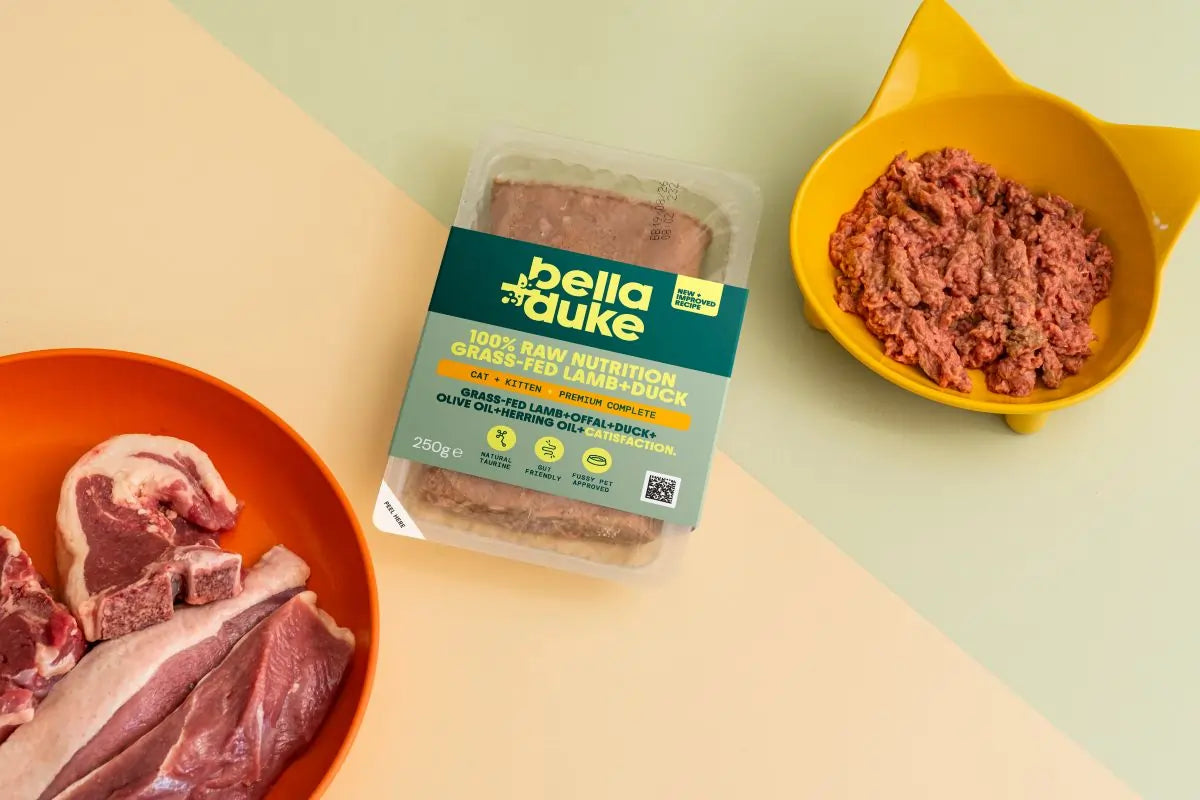 Bella & Duke Cat + Kitten Lamb & Duck 250g