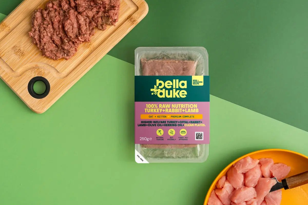 Bella & Duke Cat + Kitten Turkey & Rabbit 250g