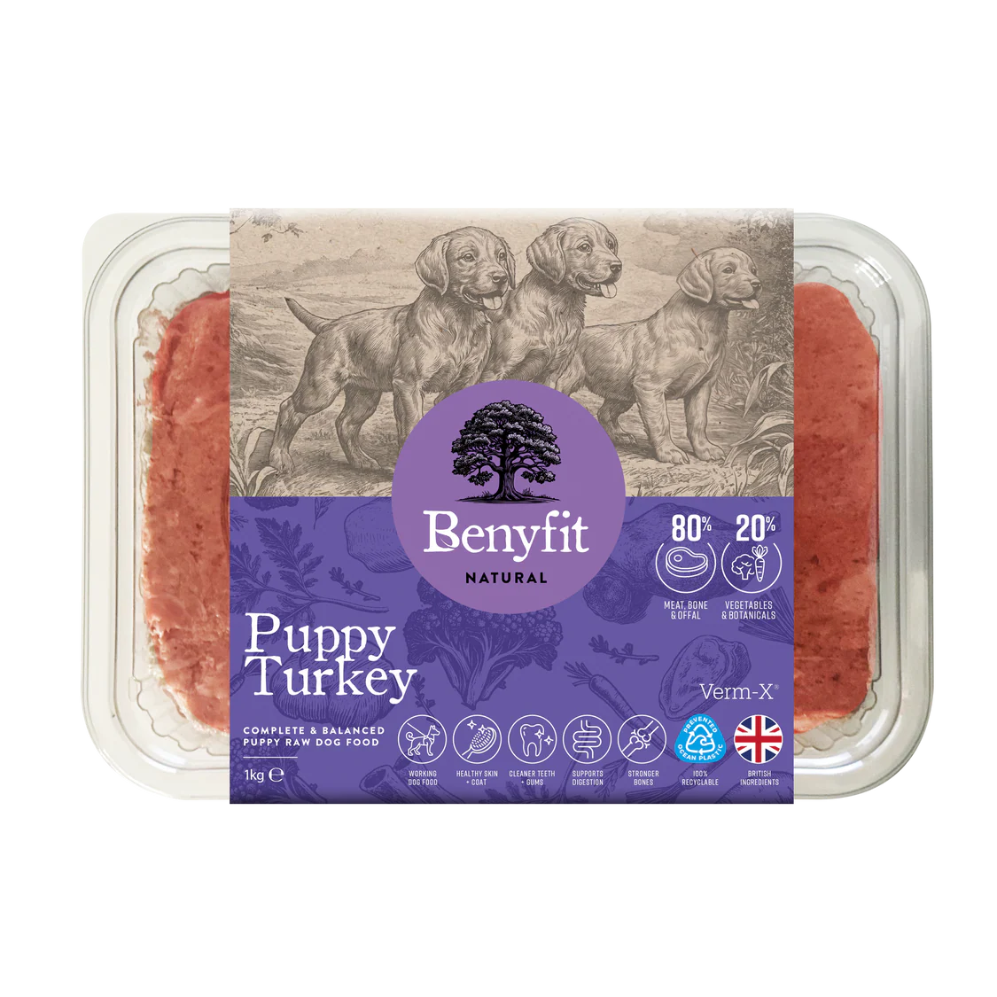 Benyfit Natural Perfect Puppy With Turkey 1kg