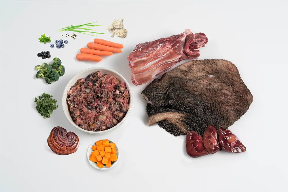 Paleo Puppy Beef, Tripe & Duck 500g