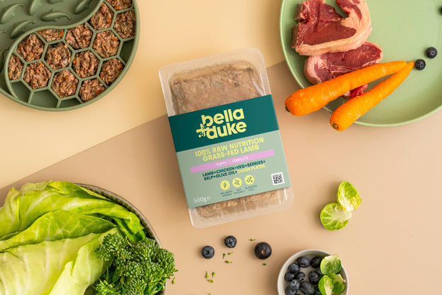 Bella & Duke Puppy Complete Grass Fed Lamb 500g