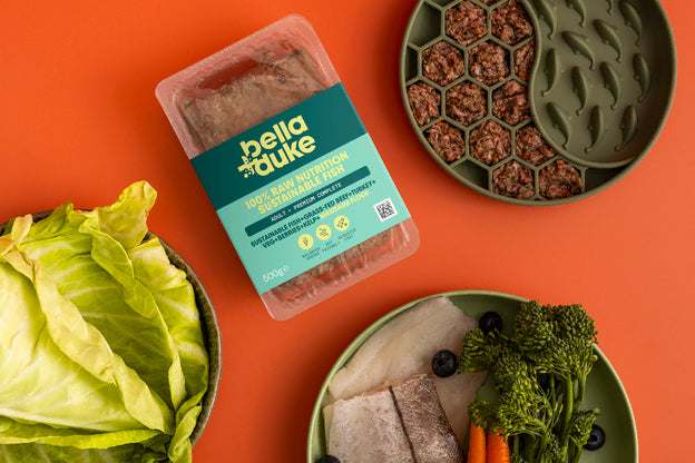 Bella & Duke Adult Complete Sustainable Fish 500g