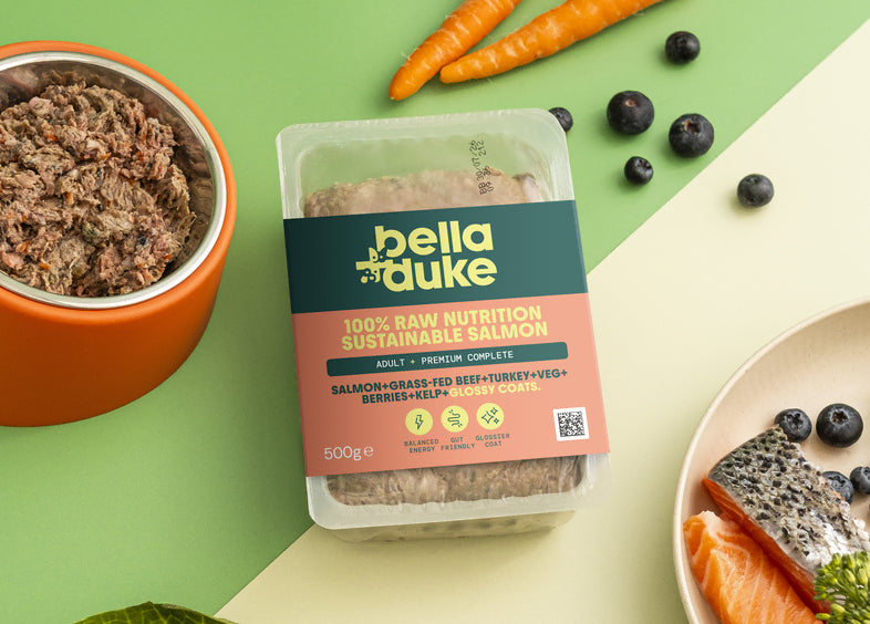 Bella & Duke Puppy Complete Sustainable Salmon 500g