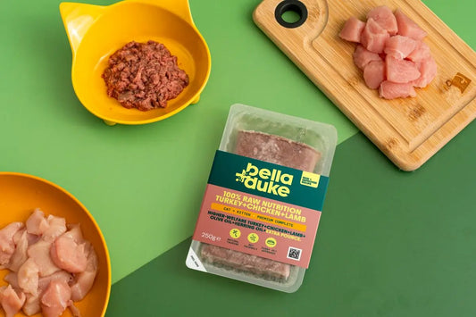 Bella & Duke Cat + Kitten Turkey & Chicken 250g