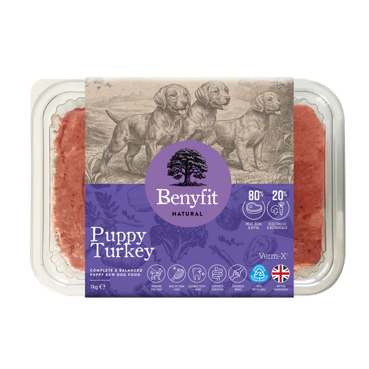 Benyfit Natural Perfect Puppy With Turkey 1kg