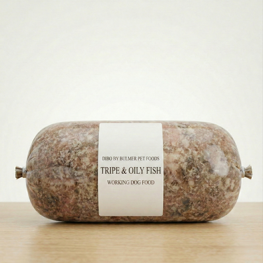 Bulmer Tripe & Oily Fish Complete 454g