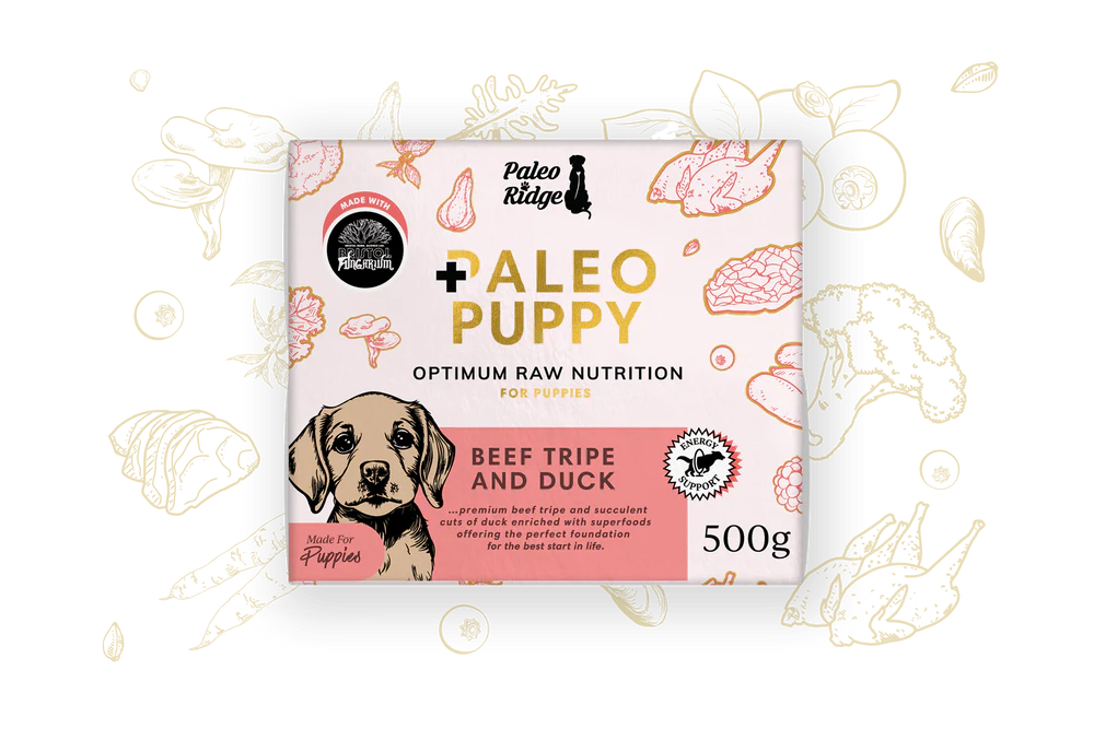 Paleo Puppy Beef, Tripe & Duck 500g