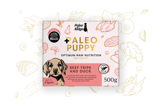 Paleo Puppy Beef, Tripe & Duck 500g