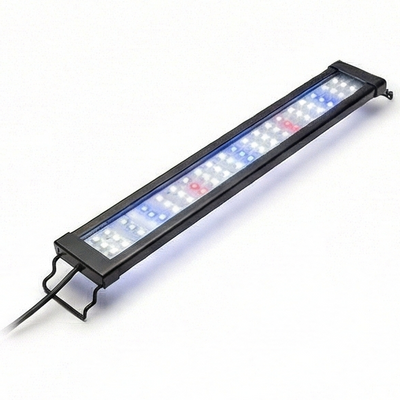 Aquatic Lighting