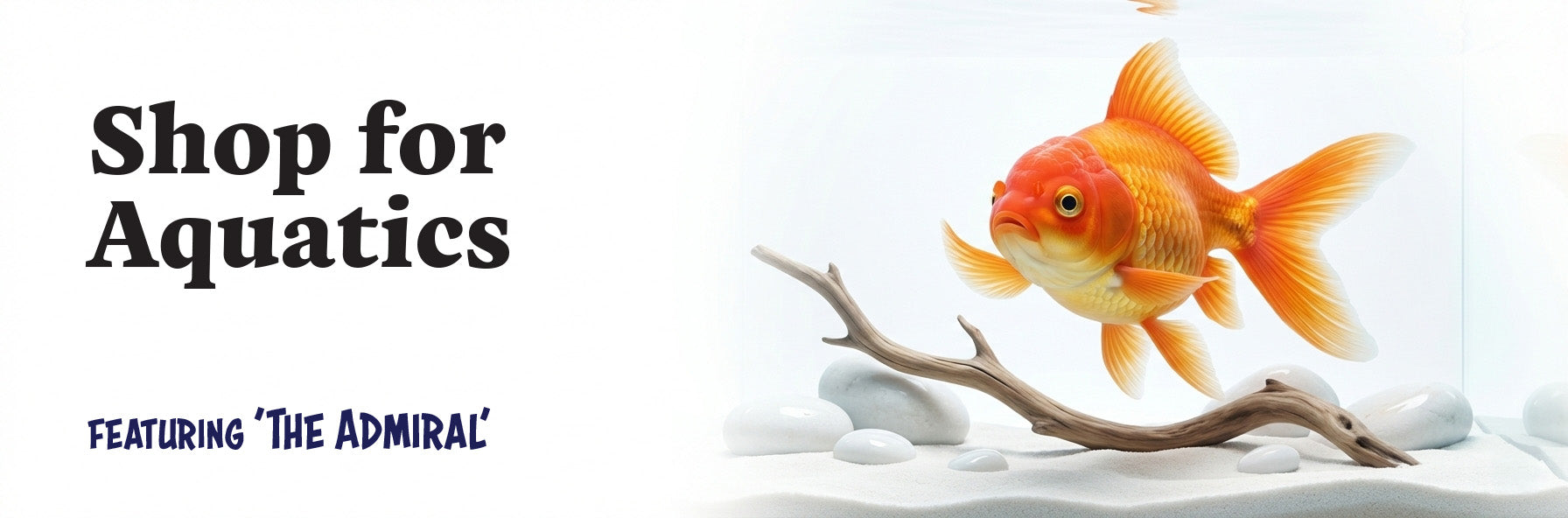 Aquatics Banner