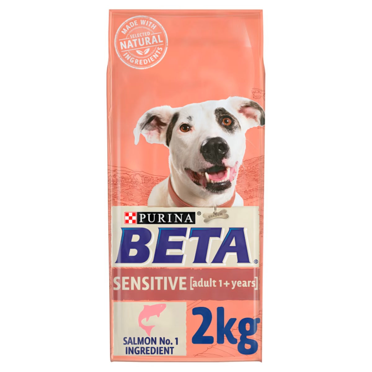 Beta Sensitive Salmon 2kg product image