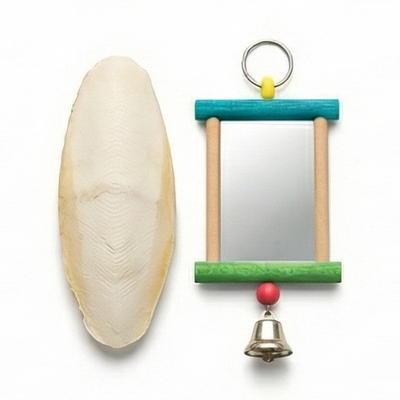 Bird Accessories