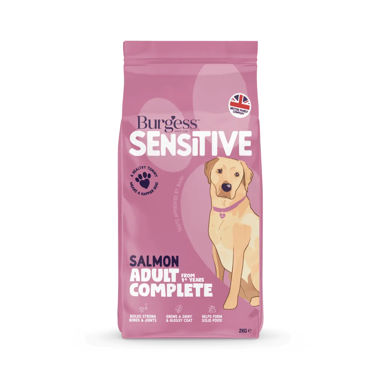 Burgess Sensitive Adult Dog Salmon 2kg product image