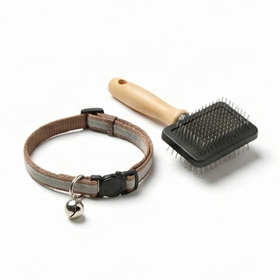 Cat Accessories