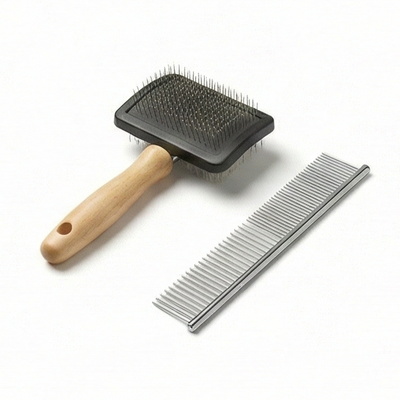 Cat Grooming