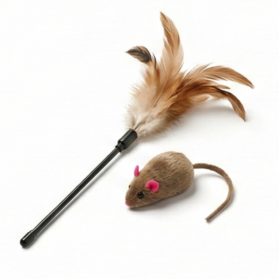 Cat Toys