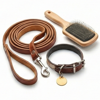 Dog Accessories