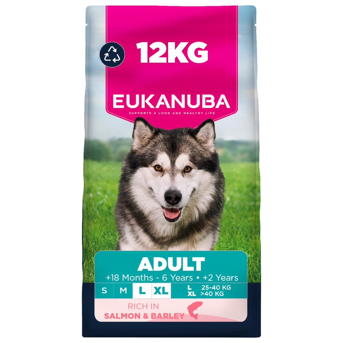Eukanuba Adult Large Salmon & Barley 12kg product image
