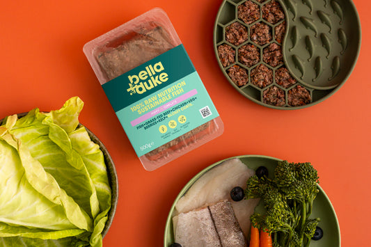 Bella & Duke Puppy Complete Sustainable Fish 500g