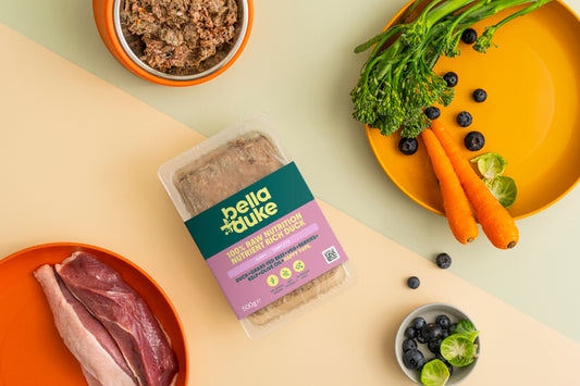 Bella & Duke Puppy Complete Nutrient-Rich Duck 500g