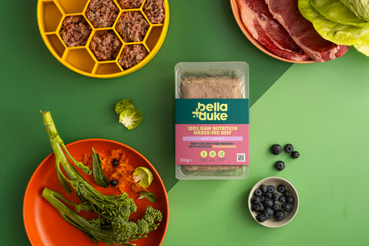 Bella & Duke Puppy Complete Grass-Fed Beef 500g