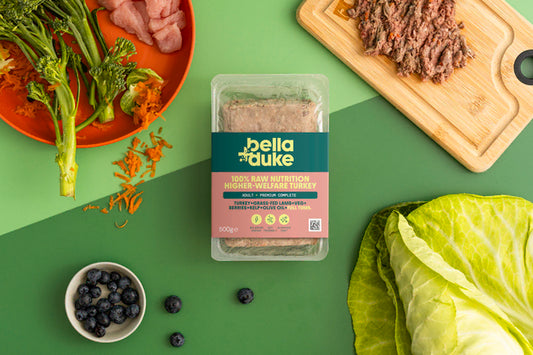 Bella & Duke Adult Complete Higher-Welfare Turkey 500g