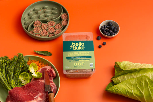 Bella & Duke Adult Complete Grass-Fed Beef Tripe 500g