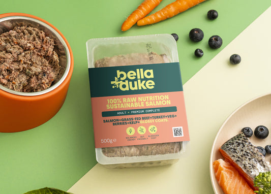 Bella & Duke Adult Complete Sustainable Salmon 500g