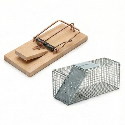 Pest Control Traps