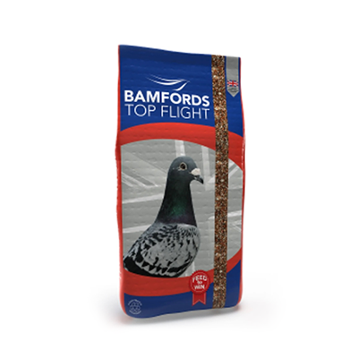Pigeon Food