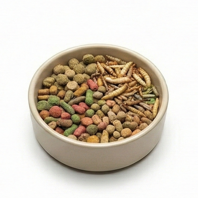 Reptile Dry Food