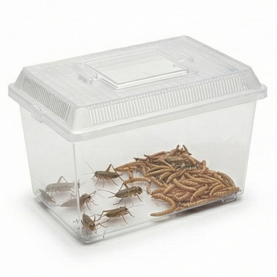 Reptile Live Food