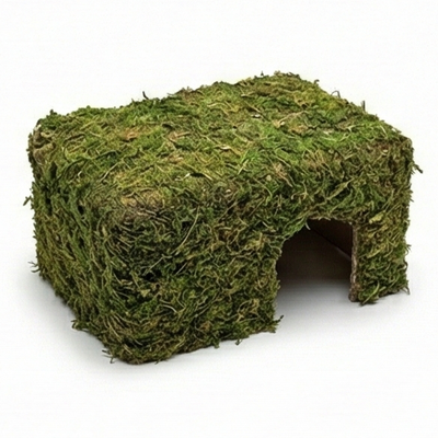Reptile Nests & Nesting